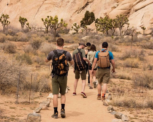 Cultural Exploration